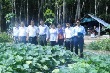 Nhiều mô hình hay trong phát triển kinh tế gia đình